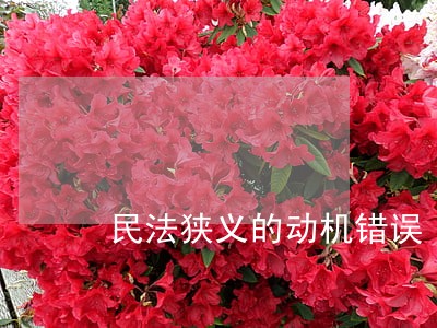 民法狭义的动机错误