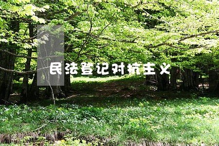 民法登记对抗主义 民法登记对抗主义
