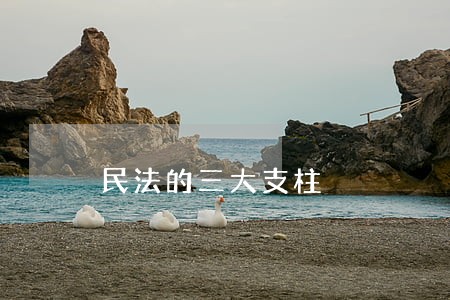 民法的三大支柱 民法的三大支柱