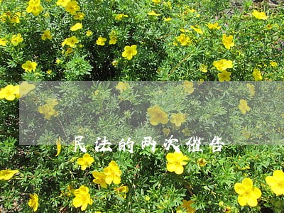 民法的两次催告 民法的两次催告