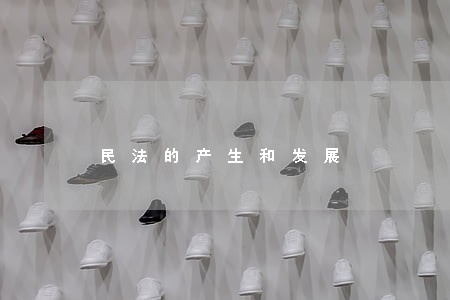 民法的产生和发展