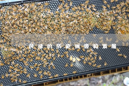 民法的历史渊源和发展 民法的历史渊源和发展