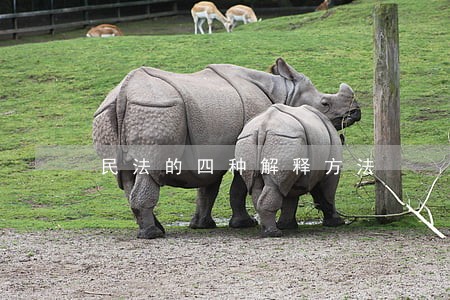 民法的四种解释方法 民法的四种解释方法