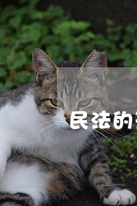 民法的形式主义 民法的形式主义
