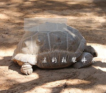 民法的框架体系和民事法律关系 民法的框架体系和民事法律关系