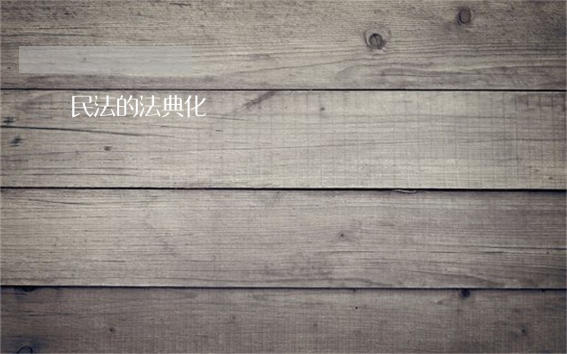 民法的法典化 民法的法典化
