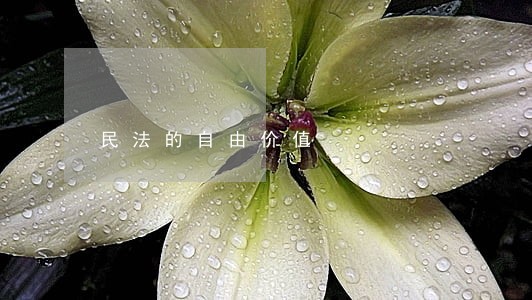 民法的自由价值 民法的自由价值
