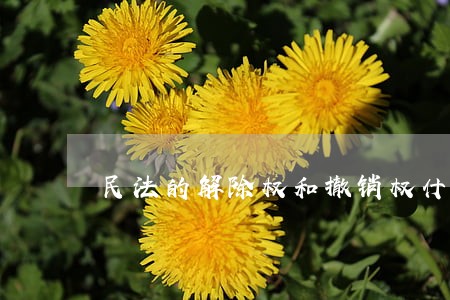 民法的解除权和撤销权什么区别 民法的解除权和撤销权什么区别