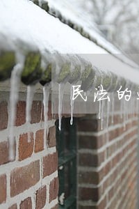 民法的适用一般应遵循的原则有 民法的适用一般应遵循的原则有