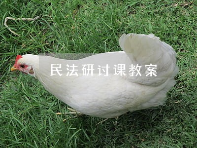 民法研讨课教案 民法研讨课教案