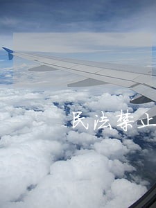 民法禁止性 民法禁止性