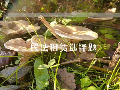 民法租赁选择题