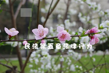 民法第五章法律行为 民法第五章法律行为