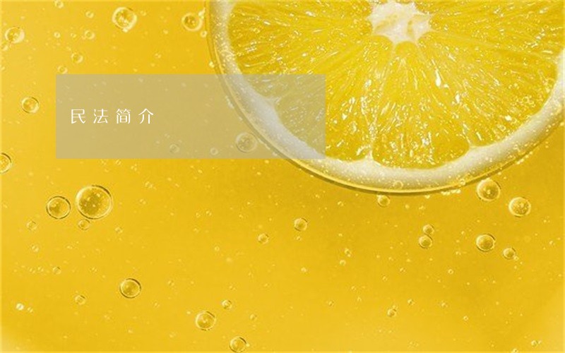 民法简介 民法简介