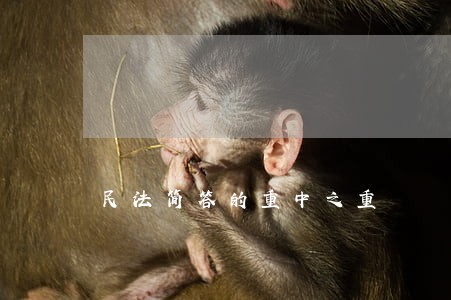 民法简答的重中之重