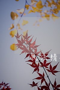 民法精神的复兴与中国的现代化 民法精神的复兴与中国的现代化