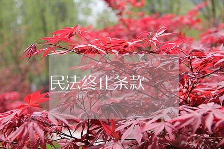 民法终止条款 民法终止条款