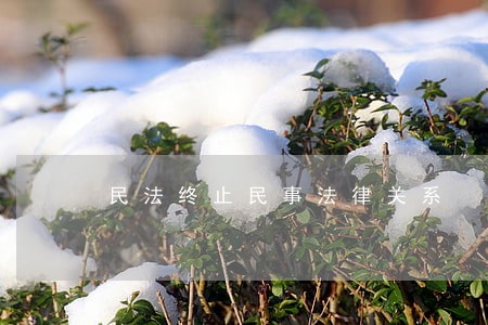 民法终止民事法律关系 民法终止民事法律关系