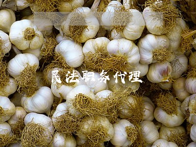 民法职务代理 民法职务代理