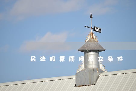 民法股票质押成立条件 民法股票质押成立条件