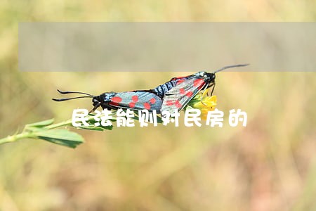 民法能则对民房的