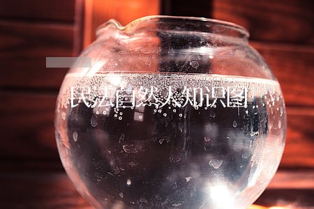 民法自然人知识图 民法自然人知识图
