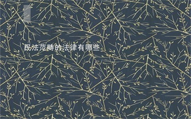 民法范畴的法律有哪些 民法范畴的法律有哪些