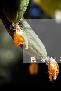民法被称为社会生活的什么 民法被称为社会生活的什么