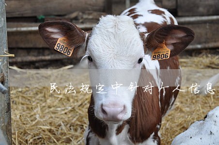 民法规定中针对个人信息的保护 民法规定中针对个人信息的保护