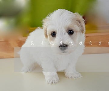 民法规定代理没有指定代理 民法规定代理没有指定代理