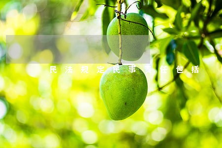 民法规定民事责任包括 民法规定民事责任包括
