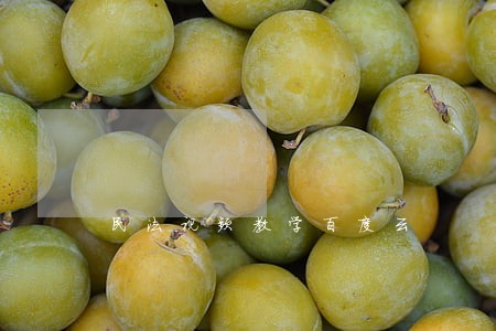 民法视频教学百度云