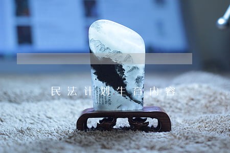 民法计划生育内容 民法计划生育内容