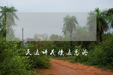 民法讲义债法总论 民法讲义债法总论