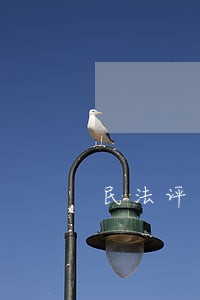 民法评为烈士的条件 民法评为烈士的条件