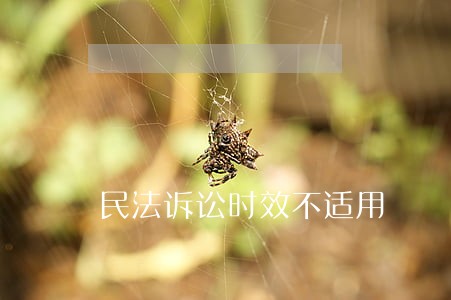 民法诉讼时效不适用 民法诉讼时效不适用