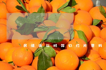 民法诉讼时效幻灯片资料 民法诉讼时效幻灯片资料