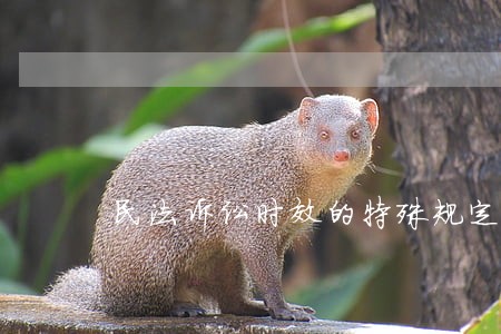 民法诉讼时效的特殊规定 民法诉讼时效的特殊规定