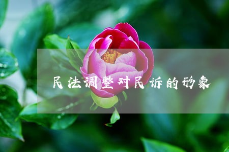 民法调整对民诉的形象