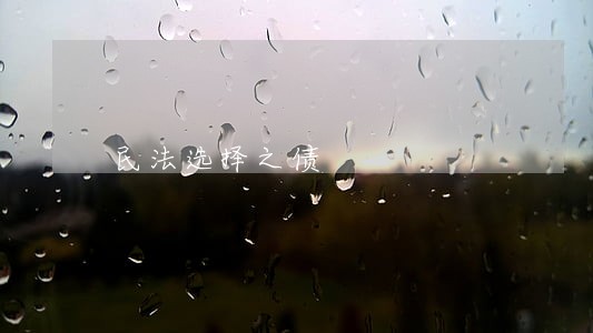 民法选择之债 民法选择之债