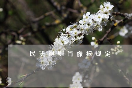 民法通则肖像权规定 民法通则肖像权规定