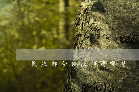 民法部分的法律有哪些 民法部分的法律有哪些