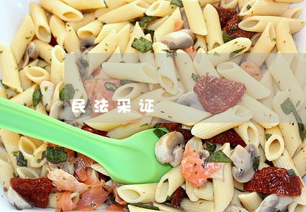 民法采证 民法采证