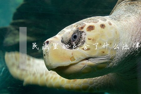 民法里都包含了什么法律 民法里都包含了什么法律