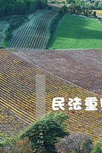 民法重则规定不能辨认或者限制 民法重则规定不能辨认或者限制