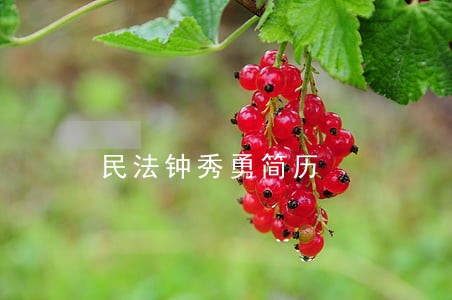 民法钟秀勇简历 民法钟秀勇简历