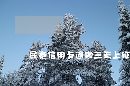 民泰信用卡逾期三天上征信吗 民泰信用卡逾期三天上征信吗