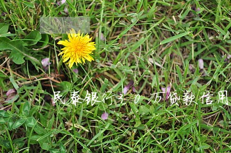 民泰银行30万贷款信用卡逾期
