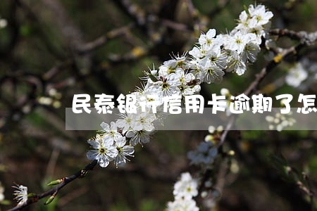 民泰银行信用卡逾期了怎么办 民泰银行信用卡逾期了怎么办