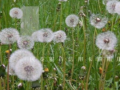 民泰银行信用卡逾期几天打 民泰银行信用卡逾期几天打